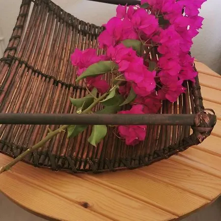 απέραντο γαλάζιο Le Grand Blue Apartment Mola Kalyva