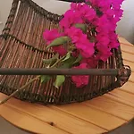 απέραντο γαλάζιο Le Grand Blue Apartment Mola Kalyva