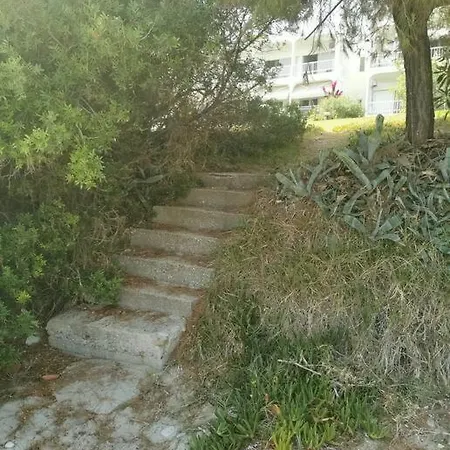 απέραντο γαλάζιο Le Grand Blue 몰라 칼리바