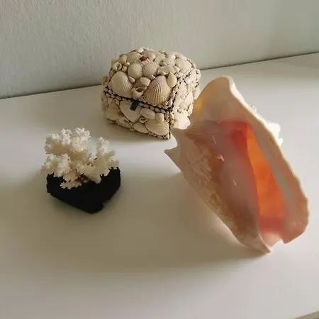 απέραντο γαλάζιο Le Grand Blue * Mola Kalyva