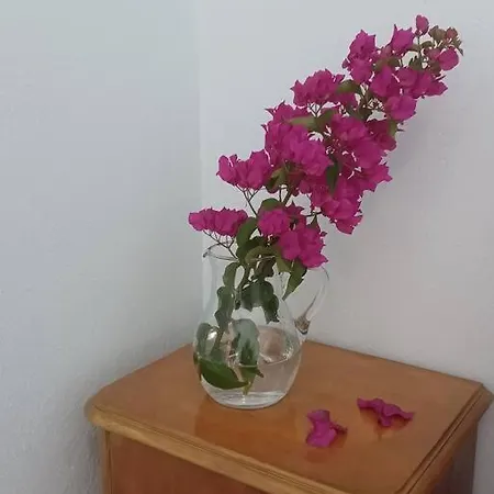 απέραντο γαλάζιο Le Grand Blue Apartamento Mola Kalyva