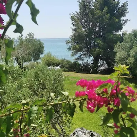 απέραντο γαλάζιο Le Grand Blue *