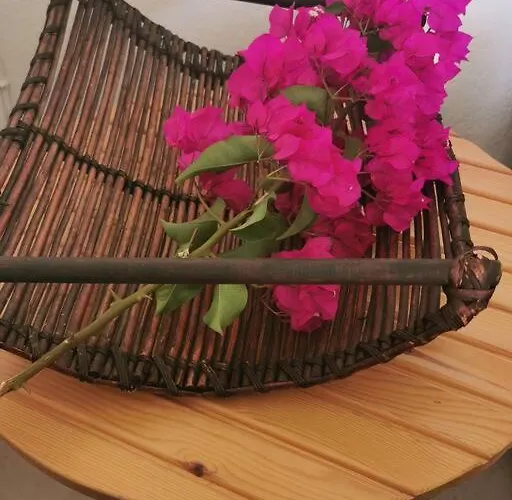 απέραντο γαλάζιο Le Grand Blue Apartamento Mola Kalyva
